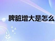 脾脏增大是怎么回事严重吗（脾脏增大）