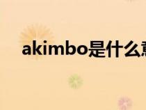 akimbo是什么意思（mbo是什么意思）