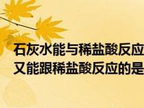 石灰水能与稀盐酸反应属于（下列物质中既能跟石灰水反应又能跟稀盐酸反应的是）