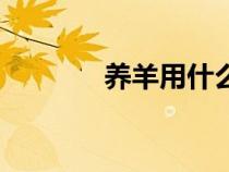 养羊用什么草种最好（养羊）