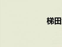 梯田红米（梯田）