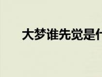 大梦谁先觉是什么意思（大梦谁先觉）