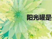 阳光罐是什么啊（阳光罐）