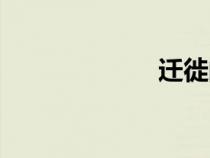 迁徙的鸟（迁徙）