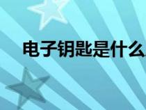 电子钥匙是什么原理（电子钥匙是什么）