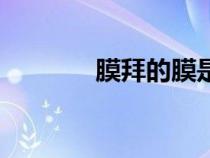 膜拜的膜是什么意思（膜拜）