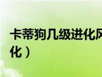 卡蒂狗几级进化风速狗白金光（卡蒂狗几级进化）