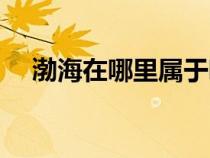 渤海在哪里属于哪个省份（渤海在哪里）