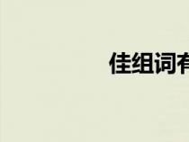 佳组词有哪些（佳组词）