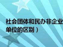 社会团体和民办非企业单位哪个好（社会团体与民办非企业单位的区别）