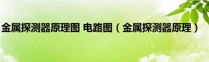 金属探测器原理图 电路图（金属探测器原理）
