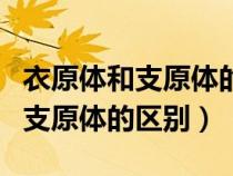 衣原体和支原体的区别在哪里图片（衣原体和支原体的区别）