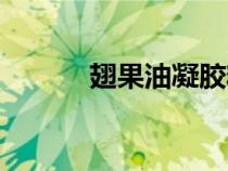 翅果油凝胶糖果功效（翅果油）
