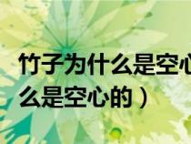 竹子为什么是空心的而且还耐寒呢（竹子为什么是空心的）