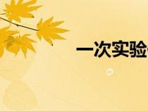 一次实验作文（实验作文）