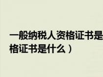 一般纳税人资格证书是什么样的税务登记证（一般纳税人资格证书是什么）
