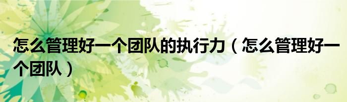 怎么管理好一个团队的执行力（怎么管理好一个团队）