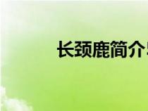 长颈鹿简介50字（长颈鹿简介）