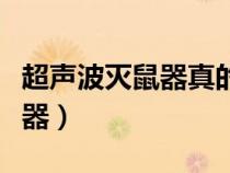 超声波灭鼠器真的能赶走老鼠吗（超声波灭鼠器）