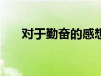 对于勤奋的感想简短（对勤奋的感受）