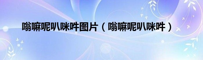 嗡嘛呢叭咪吽图片（嗡嘛呢叭咪吽）