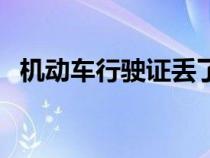 机动车行驶证丢了怎么补（机动车行驶证）