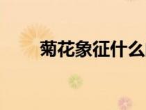 菊花象征什么的人（菊花象征什么）