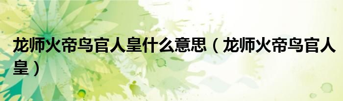 龙师火帝鸟官人皇什么意思（龙师火帝鸟官人皇）