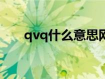 qvq什么意思网络语（qvq什么意思）