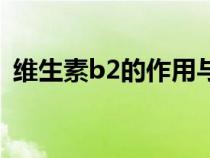 维生素b2的作用与功效（维生素b2的作用）