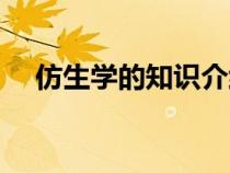 仿生学的知识介绍（仿生学的资料大全）