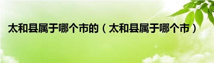 太和县属于哪个市的（太和县属于哪个市）
