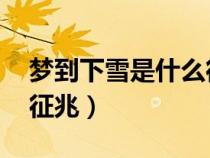 梦到下雪是什么征兆 女性（梦到下雪是什么征兆）