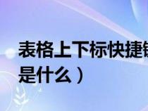 表格上下标快捷键（excle中上下标的快捷键是什么）