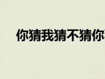 你猜我猜不猜你猜不猜（你猜我猜不猜）