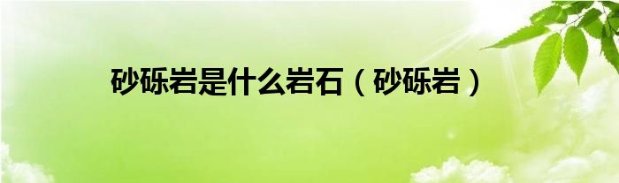 砂砾岩是什么岩石（砂砾岩）