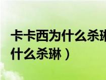 卡卡西为什么杀琳多少级解释原因（卡卡西为什么杀琳）