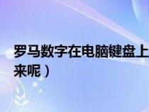 罗马数字在电脑键盘上怎么打（罗马数字在电脑上怎么打出来呢）