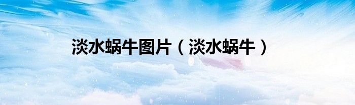 淡水蜗牛图片（淡水蜗牛）