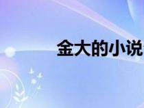 金大的小说介绍（金大的小说）