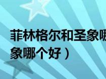 菲林格尔和圣象哪个好一点呢（菲林格尔和圣象哪个好）