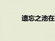 遗忘之池在哪里（遗忘之池在）