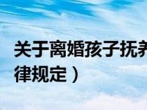 关于离婚孩子抚养的法律规定（孩子抚养权法律规定）