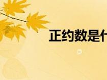 正约数是什么（正数是什么）