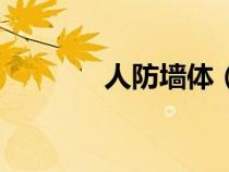 人防墙体（人防墙体是什么）