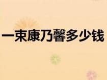 一束康乃馨多少钱 花店（一束康乃馨的价格）