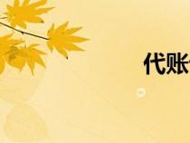 代账记账（代账）