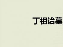 丁祖诒墓地（丁祖诒事件）