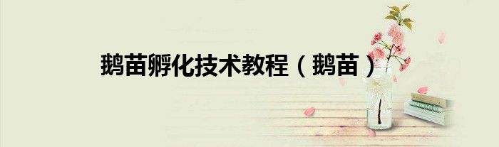 鹅苗孵化技术教程（鹅苗）