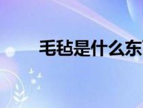 毛毡是什么东西图片（毛毡是什么）